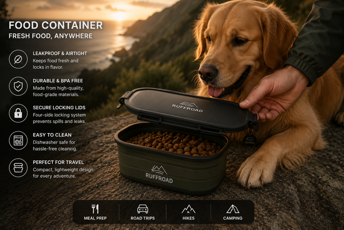 Food Storage Container