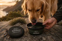 Collapsible Travel Bowls 1